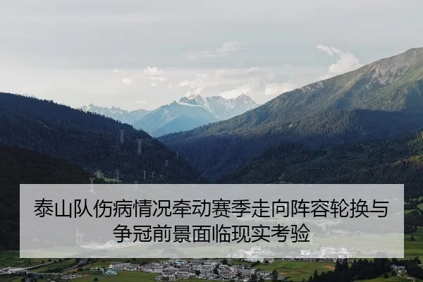 泰山队伤病情况牵动赛季走向阵容轮换与争冠前景面临现实考验